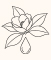 材质分类-山茶油CAMELLIA OIL